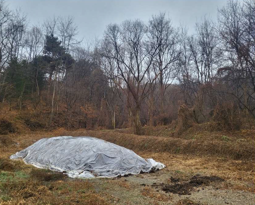 충청북도 진천군 진천읍 교성리 554 답 경매 사진 6