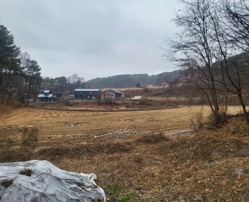 충청북도 진천군 진천읍 교성리 554 답 경매 사진 7