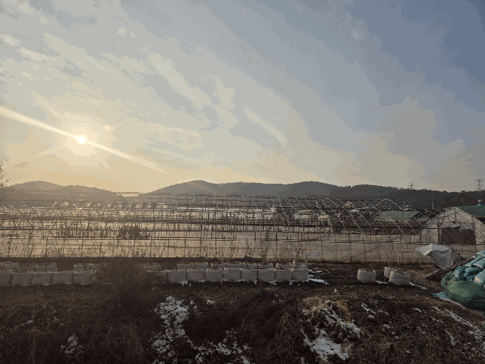 경기도 고양시 일산동구 사리현동 813 전답 경매 사진 18