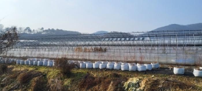 경기도 고양시 일산동구 사리현동 813 전답 경매 사진 3