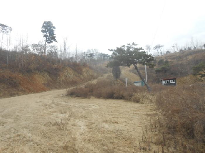 세종특별자치시 연기면 수산리 72-18 임야 경매 사진 11