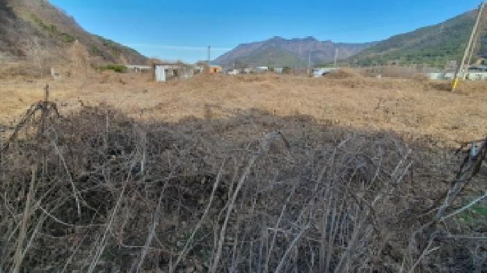 경상남도 창원시 마산합포구 진북면 신촌리 479 외 3필지 답 경매 사진 11