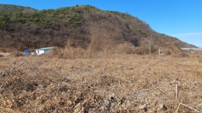경상남도 창원시 마산합포구 진북면 신촌리 479 외 3필지 답 경매 사진 13