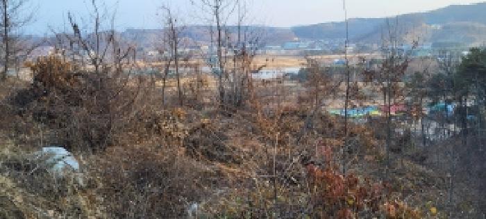 경기도 파주시 파주읍 봉암리 산124-5 임야 경매 사진 15