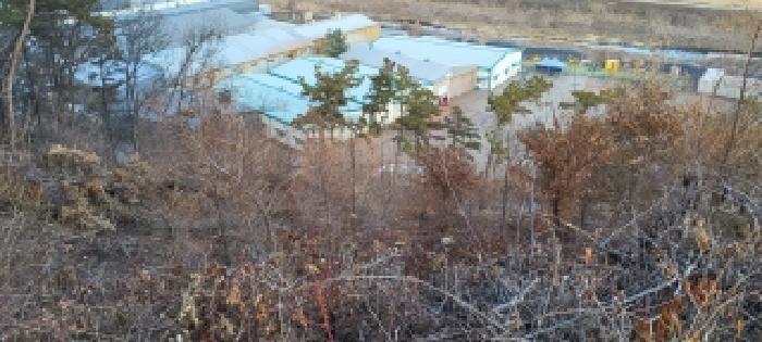 경기도 파주시 파주읍 봉암리 산124-5 임야 경매 사진 16
