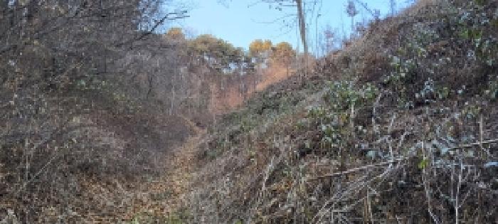 경기도 파주시 파주읍 봉암리 산124-5 임야 경매 사진 18