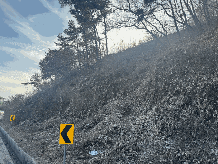 경기도 파주시 파주읍 봉암리 산124-5 임야 경매 사진 23