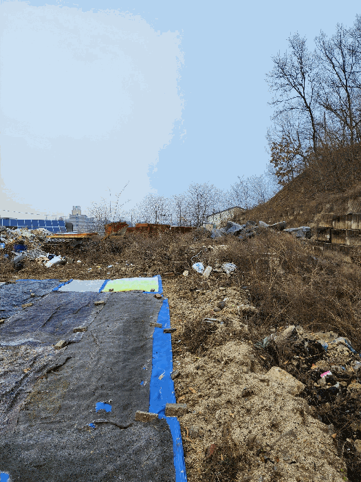 충청북도 청주시 청원구 내수읍 도원리 산39-1 외 5필지 임야 경매 사진 19