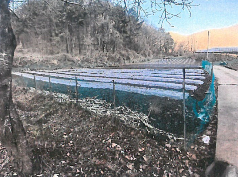충청북도 보은군 회인면 고석리 202-1 외 1필지 전 경매 사진 1