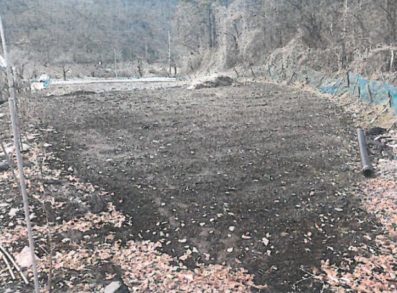 충청북도 보은군 회인면 고석리 202-1 외 1필지 전 경매 사진 2