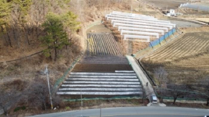 충청북도 보은군 회인면 고석리 202-1 외 1필지 전 경매 사진 7