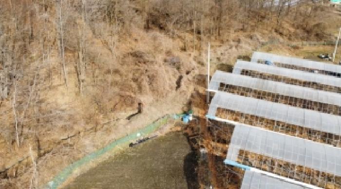 충청북도 보은군 회인면 고석리 202-1 외 1필지 전 경매 사진 8