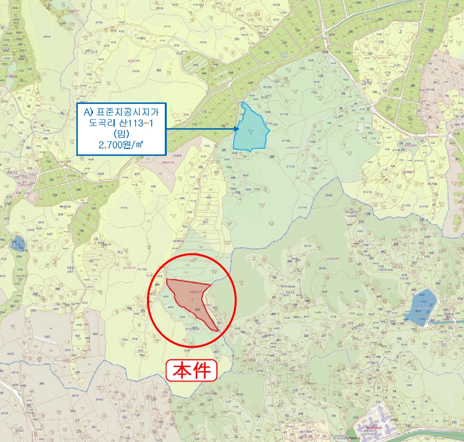 충청남도 금산군 금성면 도곡리 409-1 임야 경매 사진 30