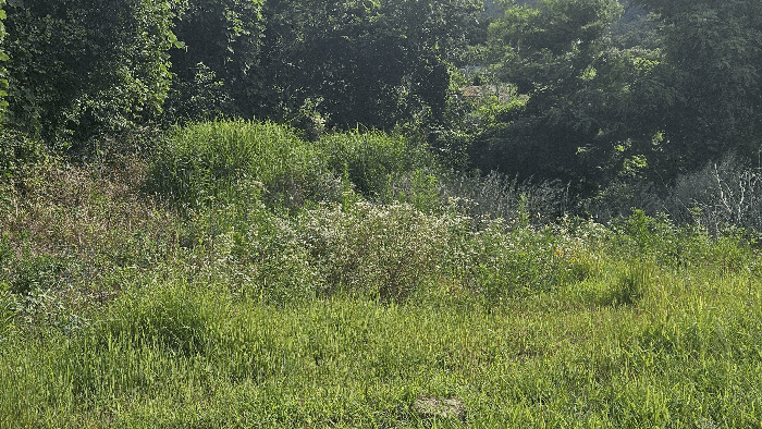 경상남도 거제시 일운면 구조라리 678-1 전 경매 사진 19