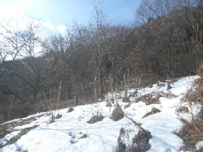 전북특별자치도 완주군 구이면 안덕리 41-1 임야 경매 사진 43