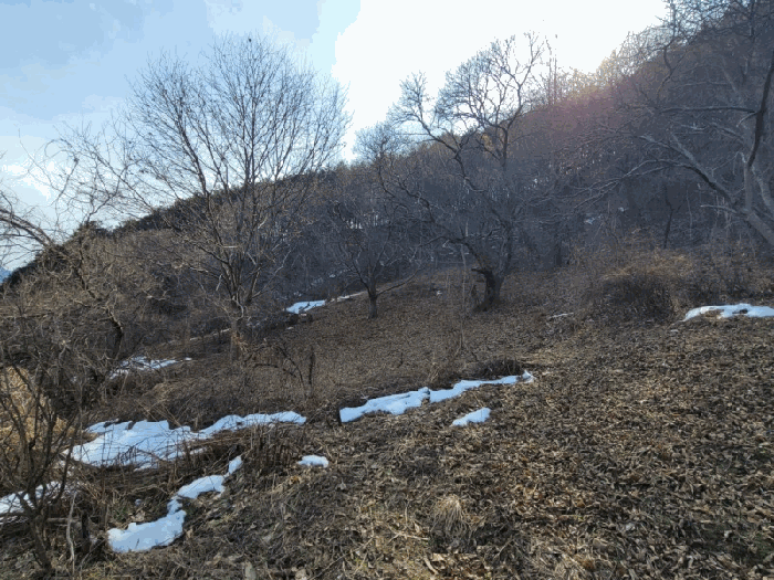 전북특별자치도 완주군 구이면 안덕리 41-1 임야 경매 사진 60