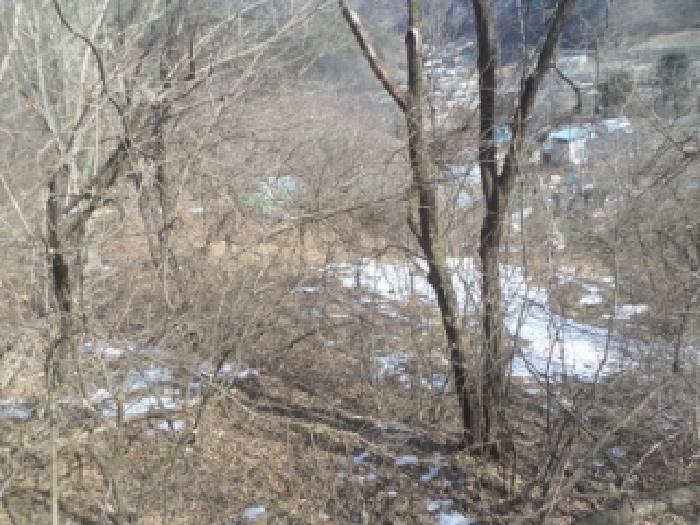 전북특별자치도 완주군 구이면 안덕리 41-1 임야 경매 사진 45