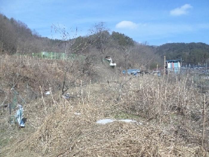 전북특별자치도 완주군 구이면 안덕리 41-1 임야 경매 사진 48