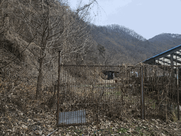 강원특별자치도 홍천군 남면 명동리 산15 임야 경매 사진 21