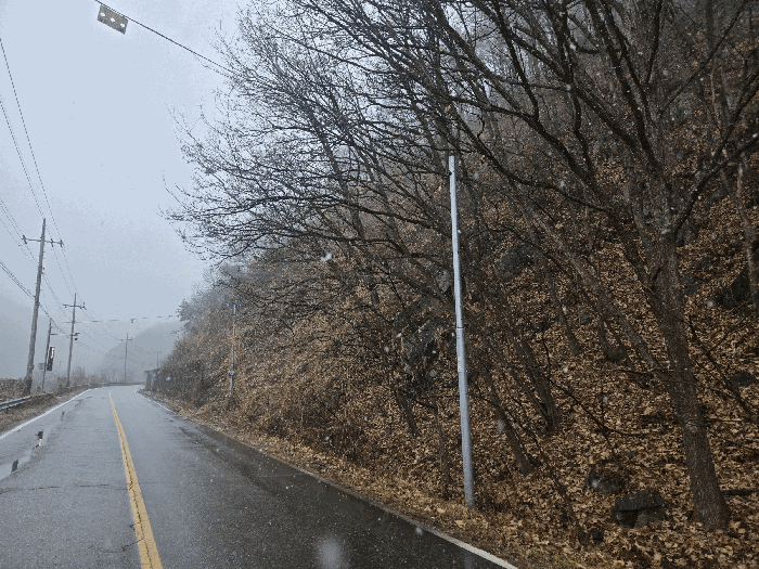 강원특별자치도 홍천군 남면 명동리 산15 임야 경매 사진 24