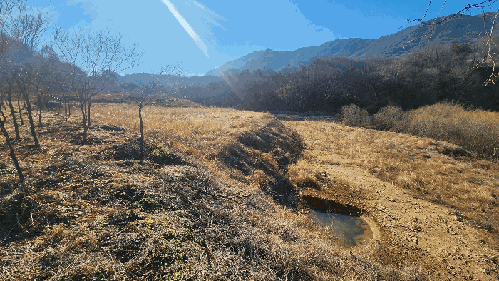 경상남도 산청군 단성면 방목리 산120 임야 경매 사진 14