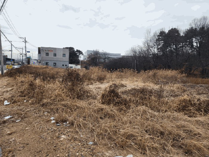 충청북도 진천군 덕산읍 합목리 329-1 외 1필지 전 경매 사진 3