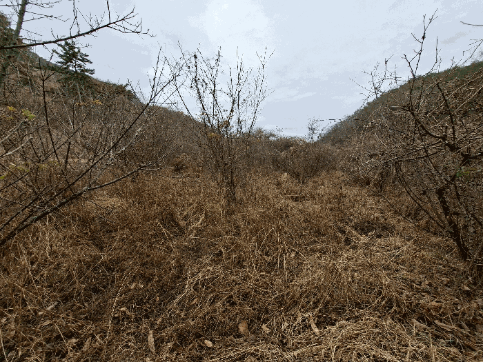 경상남도 진주시 진성면 구천리 368 답 경매 사진 19