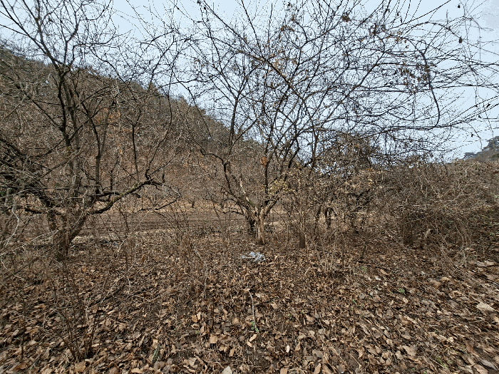경상남도 진주시 진성면 구천리 368 답 경매 사진 20