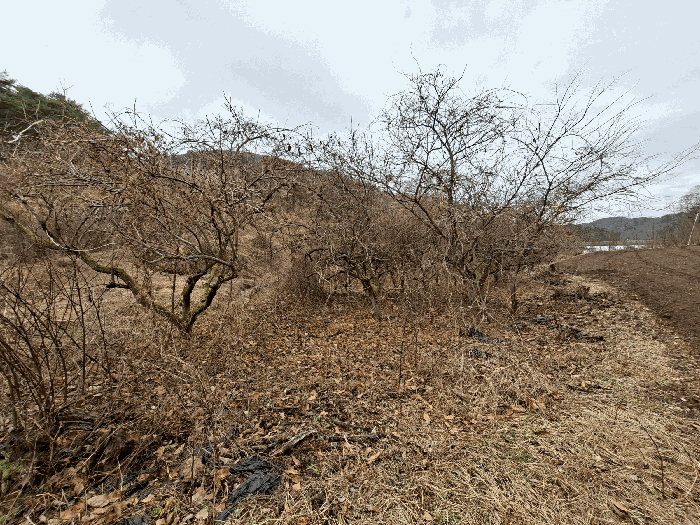 경상남도 진주시 진성면 구천리 368 답 경매 사진 21