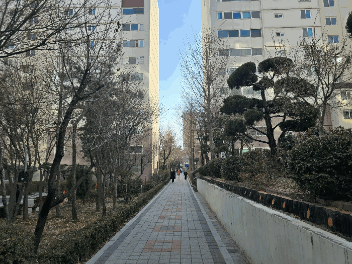 대전광역시 서구 둔산동 1811 청솔아파트 6동 1층105호 아파트 경매 사진 10