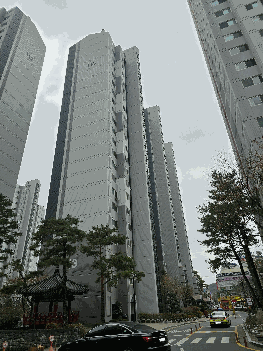 대전광역시 서구 내동 2 맑은아침아파트 113동 5층504호 외 5필지 아파트 경매 사진 13