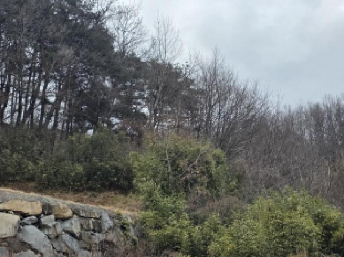 경상북도 성주군 수륜면 성리 264-3 전 경매 사진 10