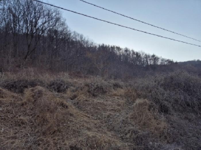 경상북도 포항시 북구 기계면 남계리 567-2 전 경매 사진 15