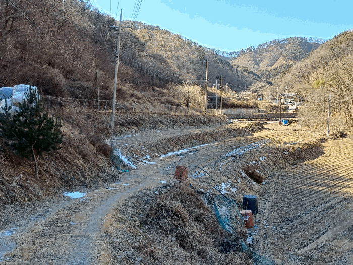 경상북도 포항시 북구 기계면 남계리 567-2 전 경매 사진 17