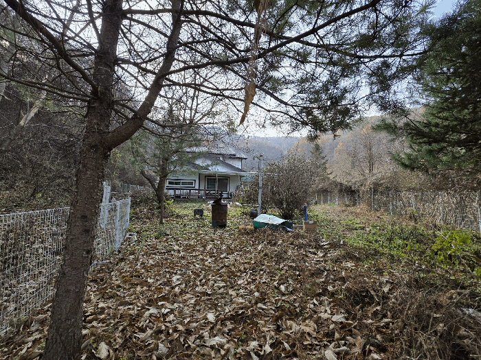 충북 괴산군 문광면 광덕리 718-7 전 경매 사진 5