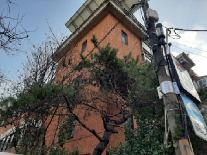 서울특별시 강서구 등촌동 510-9 상가주택 경매 사진 3