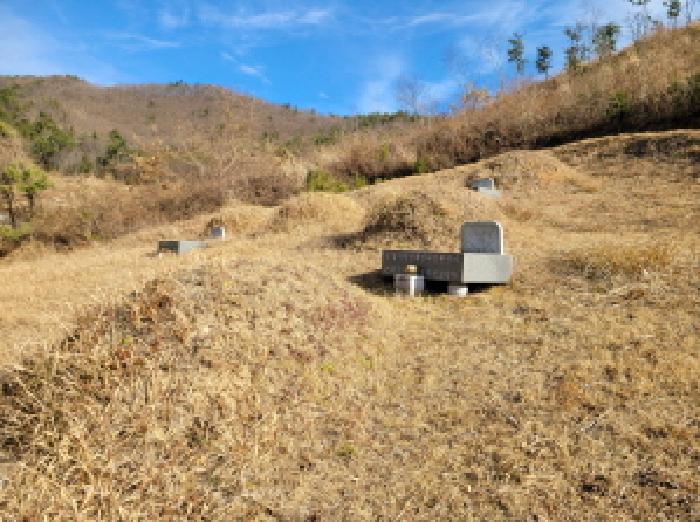 전라남도 고흥군 포두면 남성리 산38-1 임야 경매 사진 25