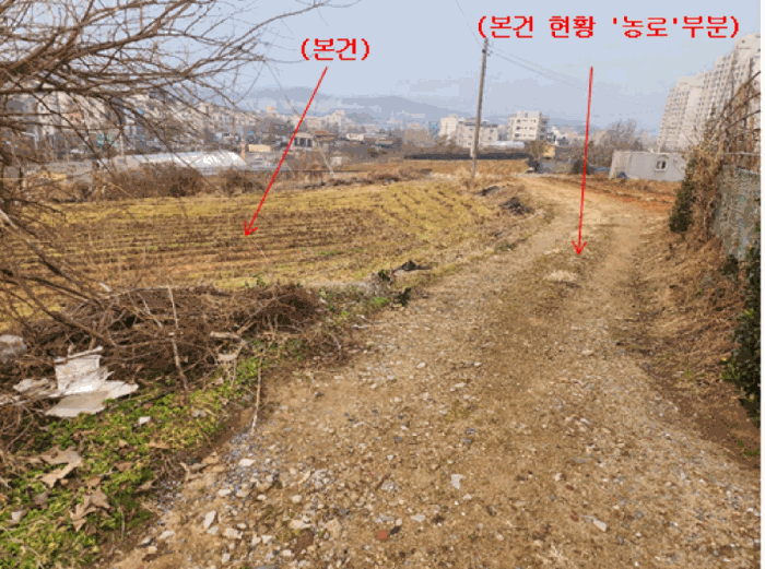 세종특별자치시 조치원읍 침산리 203 전 경매 사진 13