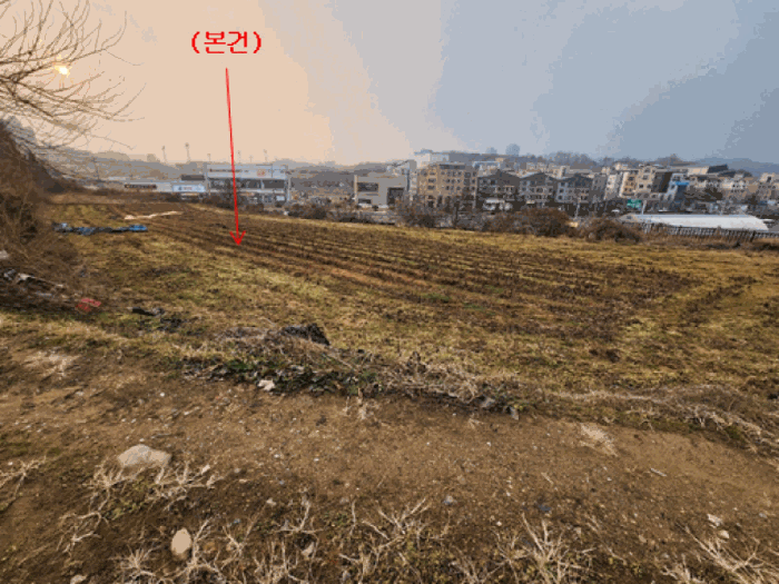 세종특별자치시 조치원읍 침산리 203 전 경매 사진 5