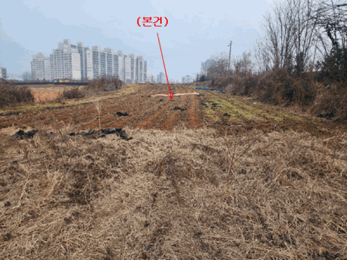 세종특별자치시 조치원읍 침산리 203 전 경매 사진 7