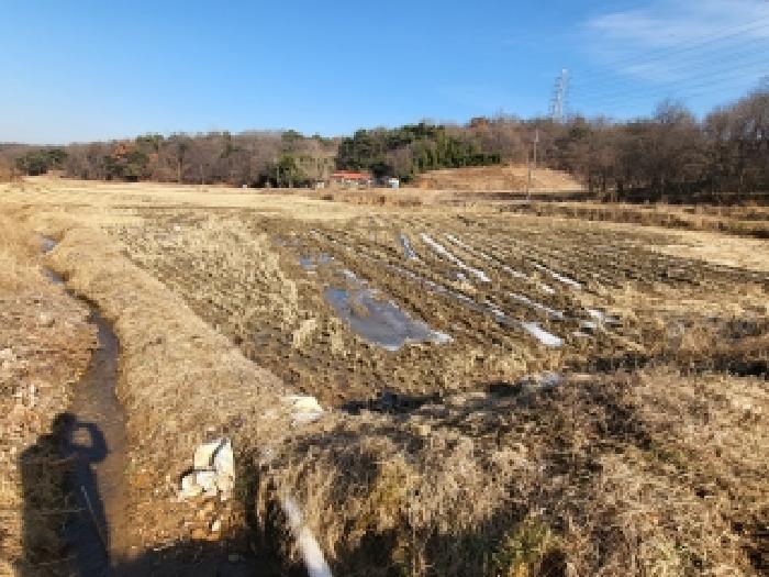 충청남도 당진시 송악읍 가학리 208-1 외 2필지 답 경매 사진 4