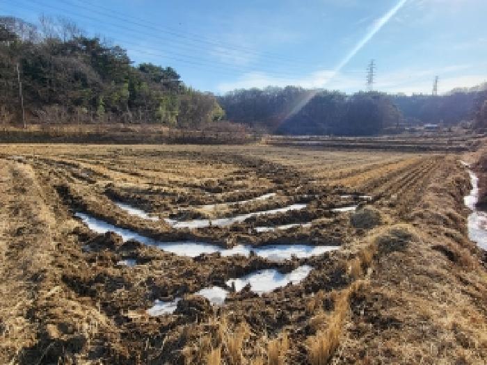 충청남도 당진시 송악읍 가학리 208-1 외 2필지 답 경매 사진 5
