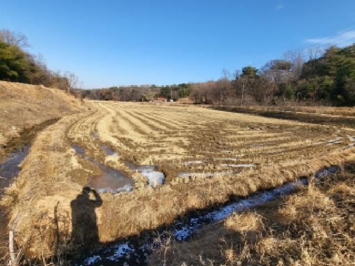충청남도 당진시 송악읍 가학리 208-1 외 2필지 답 경매 사진 6