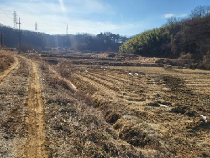 충청남도 당진시 송악읍 가학리 208-1 외 2필지 답 경매 사진 8