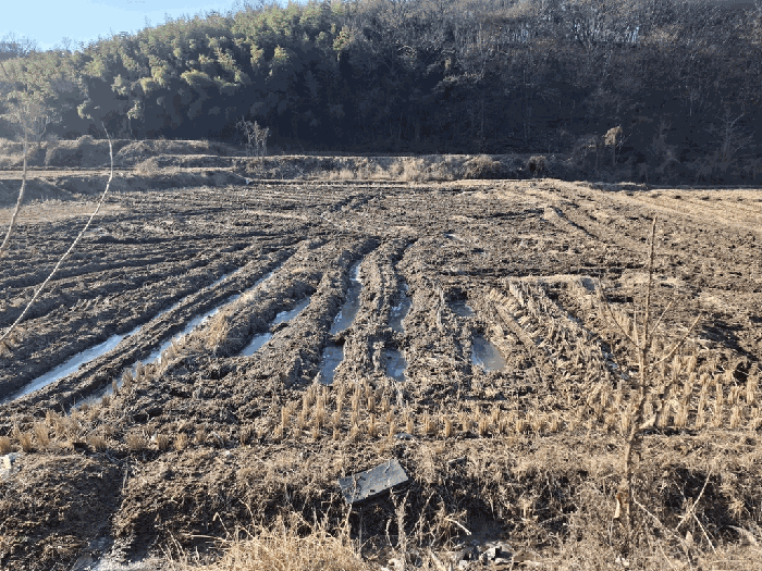 충청남도 당진시 송악읍 가학리 208-1 외 2필지 답 경매 사진 10