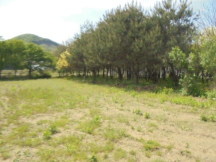 충청북도 충주시 노은면 대덕리 149-7 답 경매 사진 74