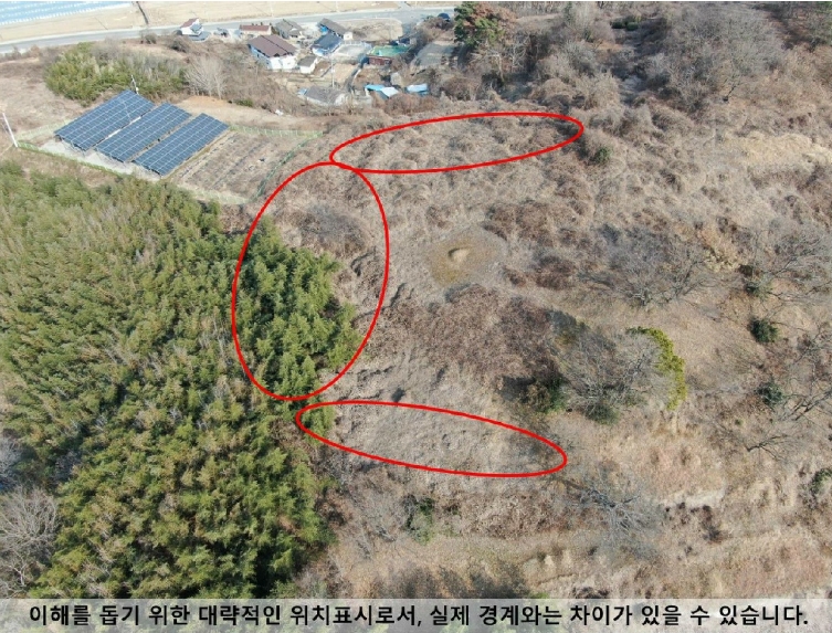 경상남도 함안군 대산면 장암리 1262 전 경매 사진 4