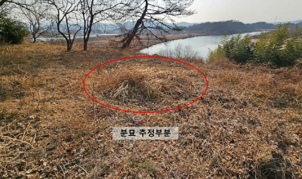 경상남도 함안군 대산면 장암리 1262 전 경매 사진 8