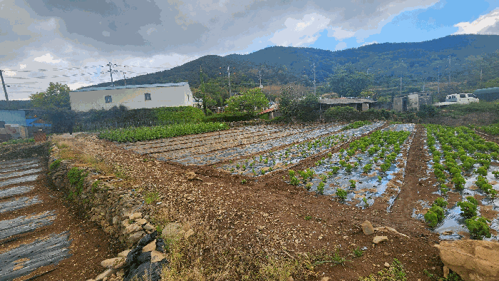 경상남도 남해군 남면 상가리 646 전 경매 사진 31