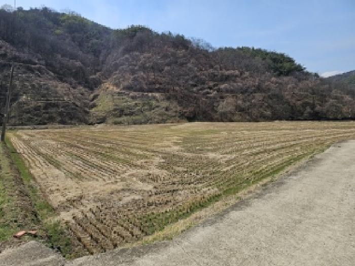 경상남도 산청군 신등면 간공리 90-4 답 경매 사진 40